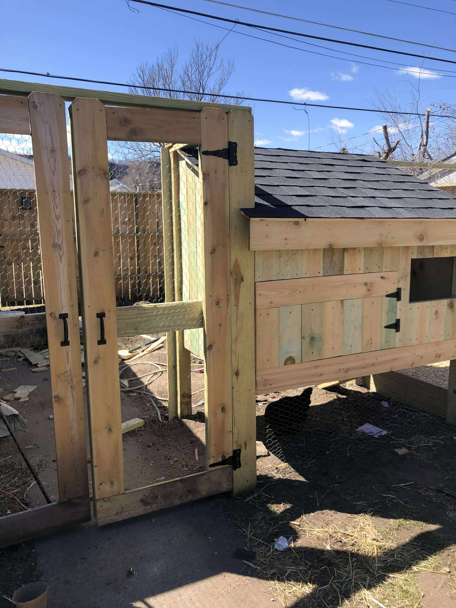 Custom Chicken Coop