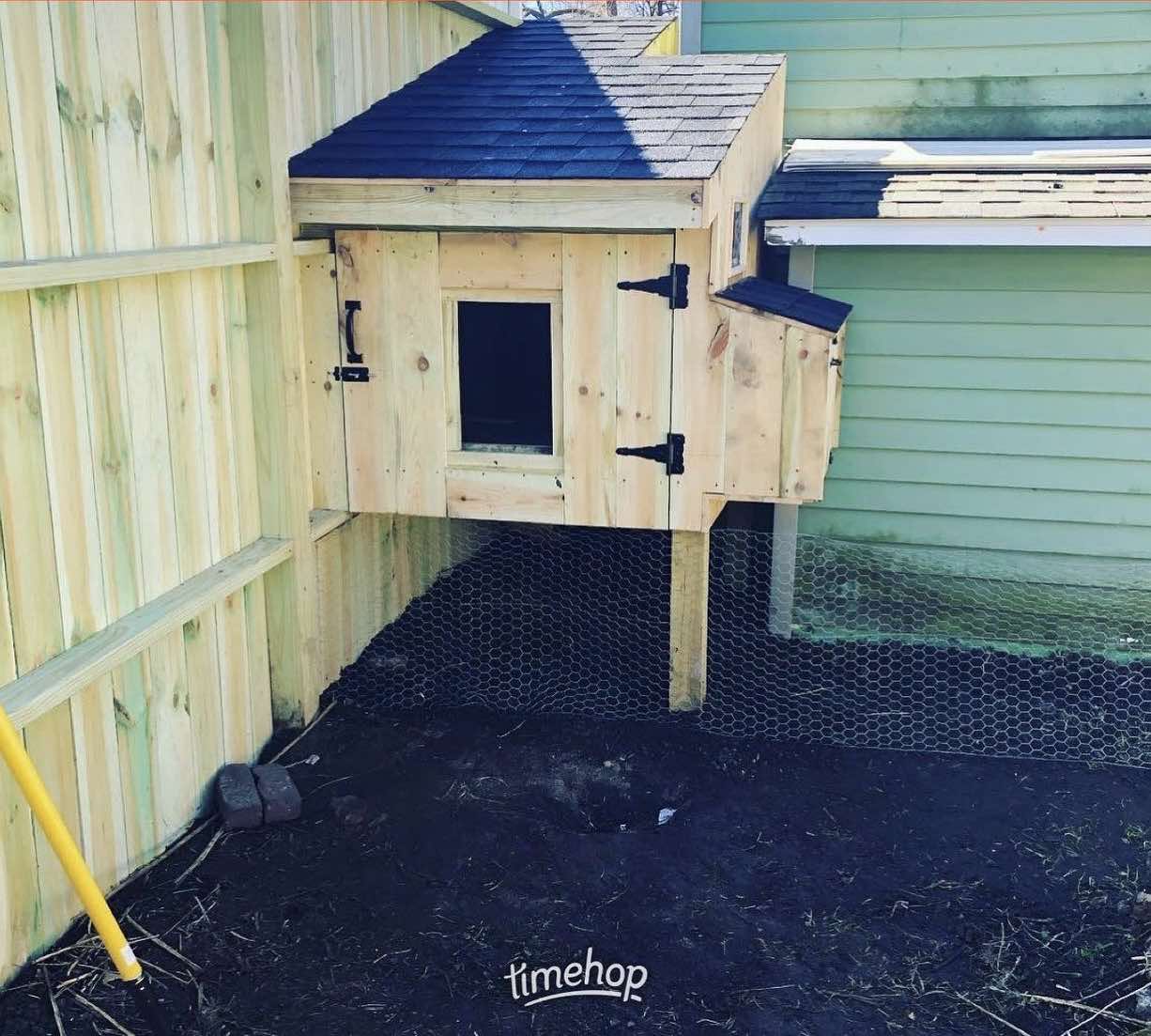 Custom Chicken Coop