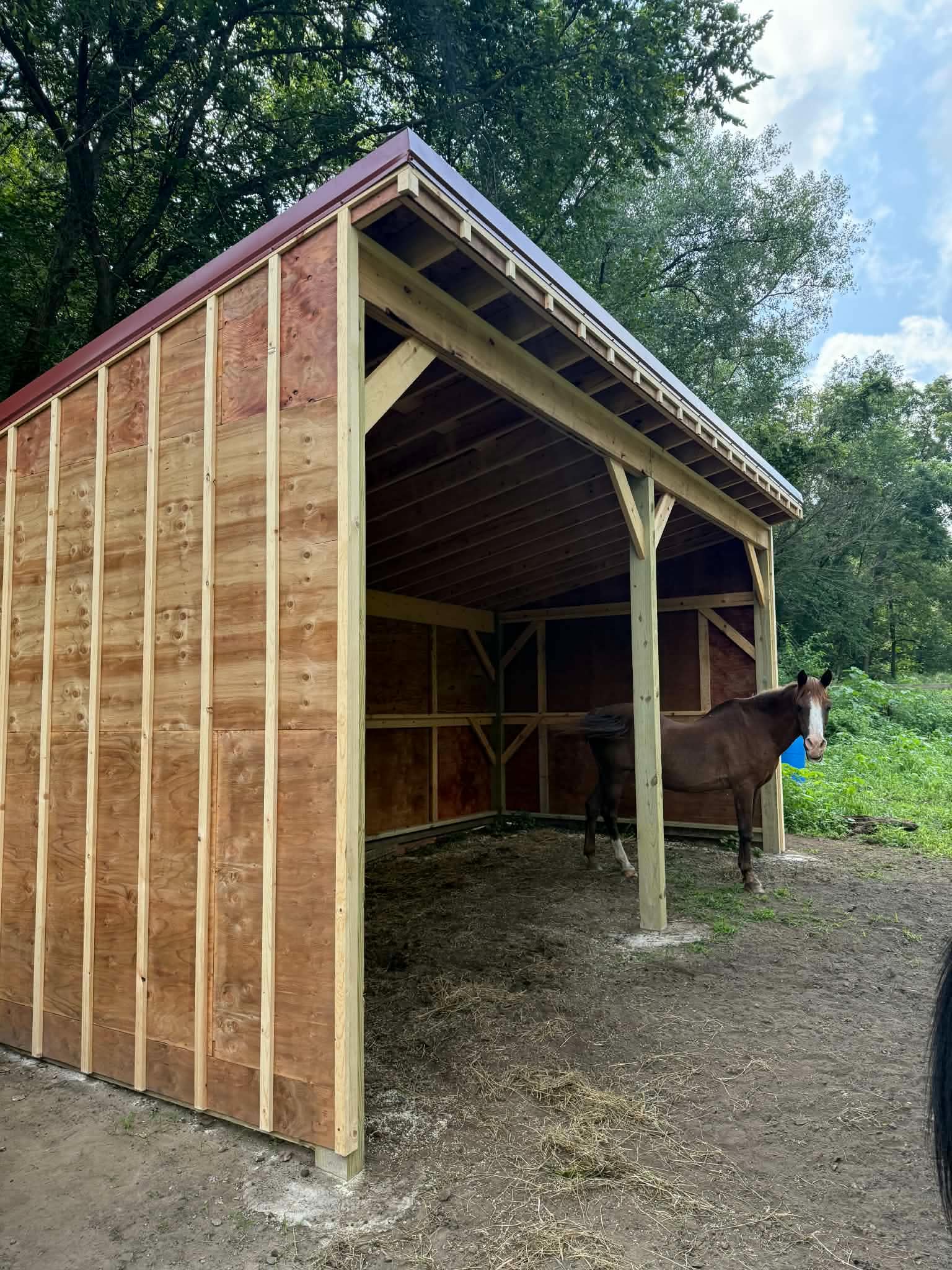Custom Horse Run-In Shelter